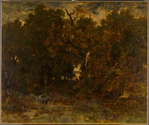 Lämnar skogen, Fontainebleau: Solnedgång