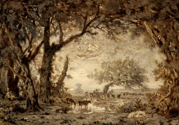 Solnedgång från skogen Fontainebleau