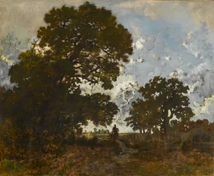 Boken i skogen av L