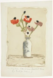 Anemoner