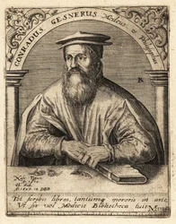 Conrad Gessner, schweizisk läkare