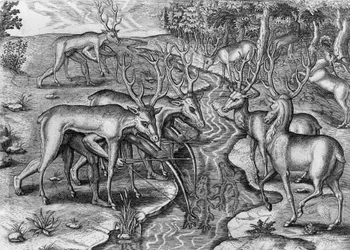 Floridaindianer jagar, förklädda till rådjur, USA, gravyr av Theodor de Bry (1528-1598)