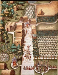 Gravyr från "" Admirante Narratio Americae"" av Theodore de Bry (1528-1598)