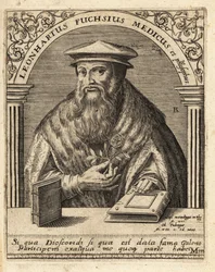 Leonhart Fuchs, tysk läkare och botaniker 1501-1566.