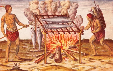 Natives lives: How Indians Cook Fish, Illustration från Admiranda Narratio av Theodore De Bry
