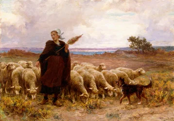 Herdinna med sin flock, 1907