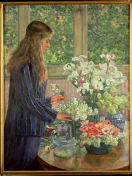 Trädgårdsblommor