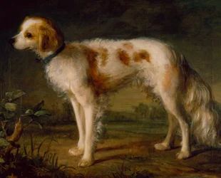 En spaniel i ett landskap (olja)
