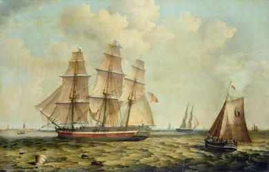 Den tremastade barken "Halcyon" från Hull