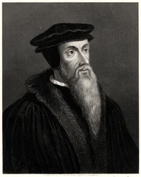 Calvin, 1800-talet