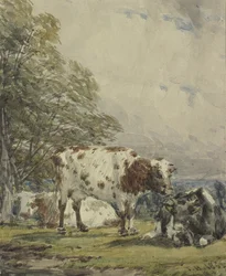 En studie av boskap, 1800-talet