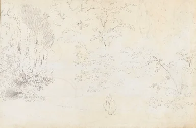 En studie i grafit av bron och träden från väster (a tergo)