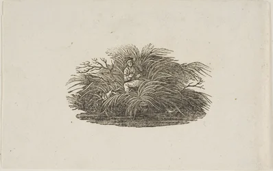 Stjärtstycke: Man in Bush