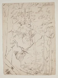 Kaaterskill Falls, ca 1801-48 (penna och brunt bläck)