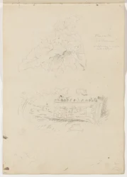 Växt i Colosseum; Arkitekturfragment
