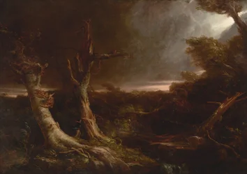 Tornado i en amerikansk skog