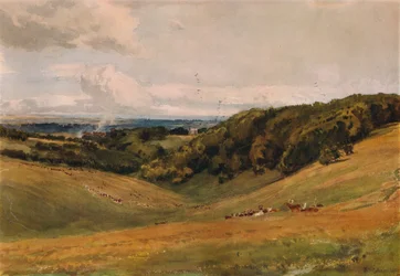 Arundel Park, med rådjur, 1880