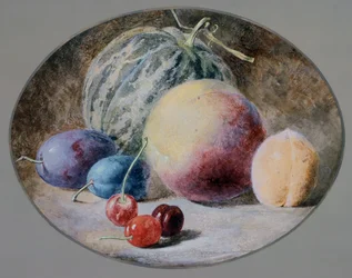 Frukt, 1800-talet
