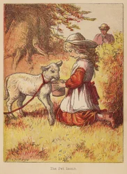 Husdjurslammet (kolorerad gravyr)