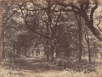 Träscen, Norton, Cheshire, 1856.