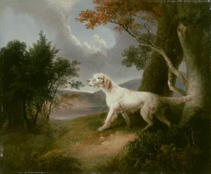 Landskap med hund