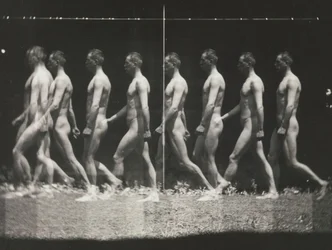 [Man Walking, Stroboscopic Photograph], 1880-tal, tryckt 1930-40-tal, 1880-tal, tryckt 1930-40-tal.