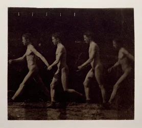 Marey Wheel-fotografier av oidentifierad modell, 1884.