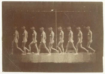 Marey Wheel-fotografier av oidentifierad modell, 1884.