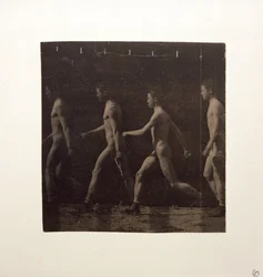 Marey Wheel-fotografier av oidentifierad modell, ca. 1884.