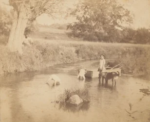 [Tre barn och en hund som leker i bäcken, 4 juli 1883], 1883., 1883.