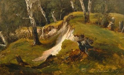 Birck stocks in Romsdal