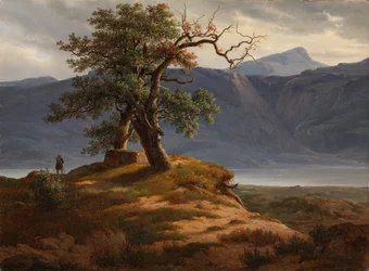 Landskap med vandringsmann