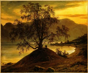 Gammal björk vid Sognefjorden
