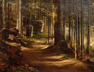 Väg i barrskog