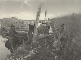 Under vassskörden,1886 (foto)