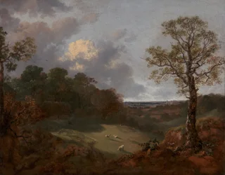 Skogbevuxet landskap med stuga och herde, 1748 till 1750.
