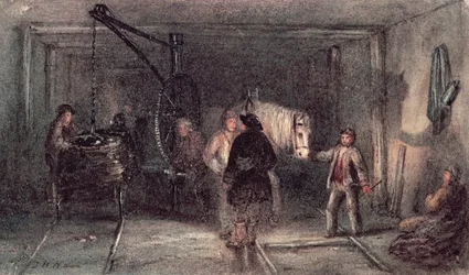 Pit Ponnyer och vagn