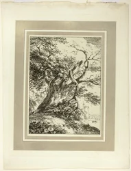 Old Tree, från första numret av Specimens of Polyautography