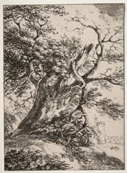 Exemplar av polyautografi: Landskap med en ek, 1803.