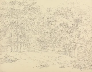 Träd i Ashtead Park, Surrey