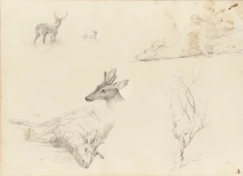 Skissbok över landskap och djurämnen, 1860-64.
