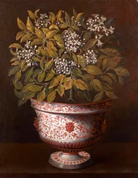 Terrakottavas med en orange buske i blomma