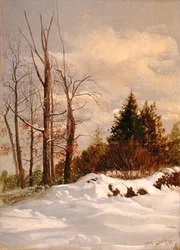 Catskill vinterlandskap