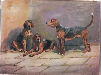 Hundar, illustration från "Hounds"