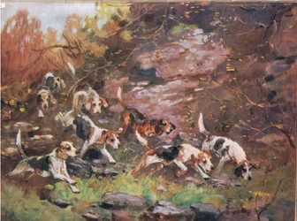 Through the Undergrowth, illustration från "Hounds"