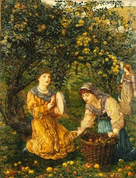 Samla äpplen