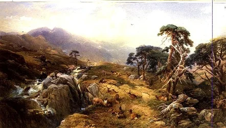 Ben Venue i Trossachs