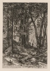 Interiör från en kalifornisk skog (efter Thomas Moran (amerikansk