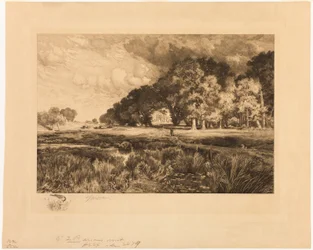 Long Island landskap