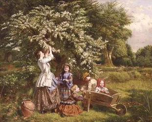 Samla in majblommor